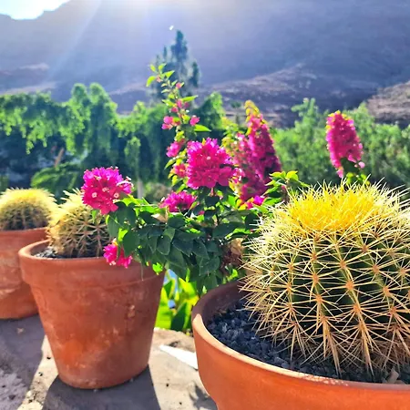 Casa Maritina 펜션